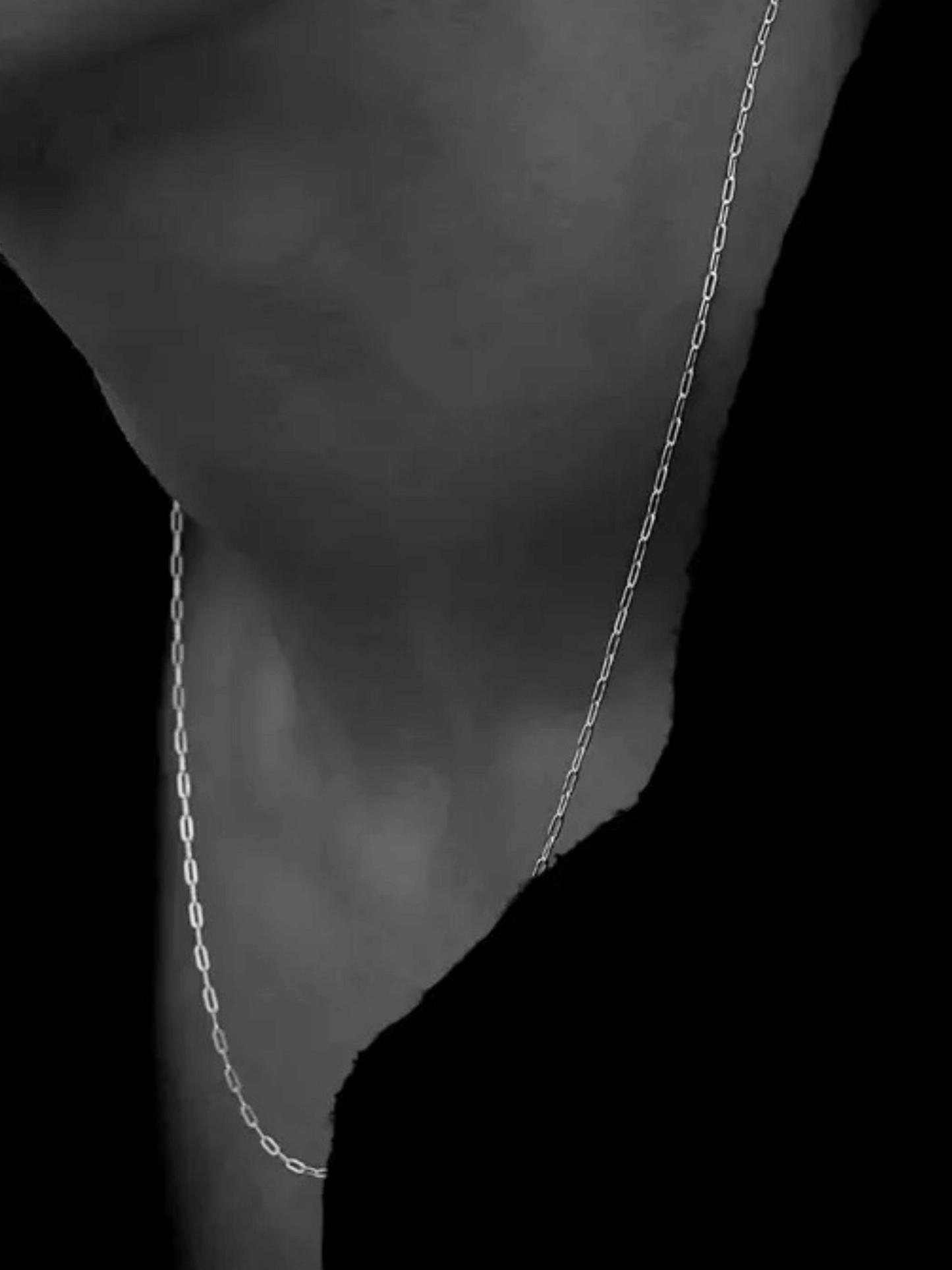 Clip Chain Necklace